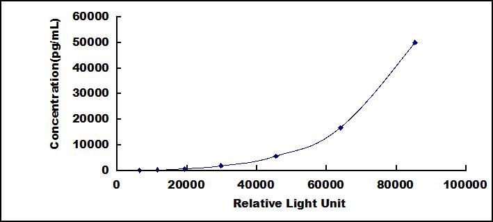 CLIA Kit for Hydroxymethylbilane Synthase (HMBS)