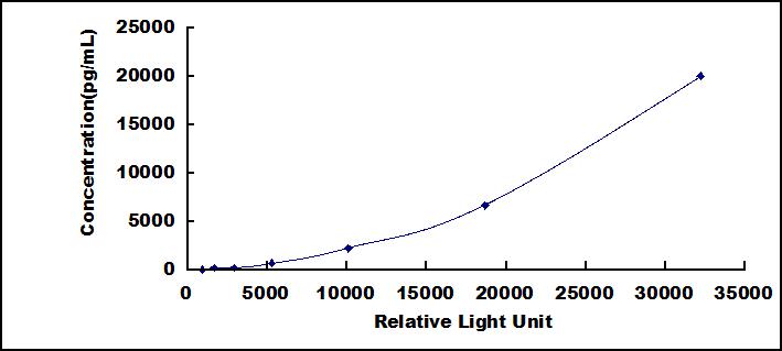 SCH816Hu.jpg