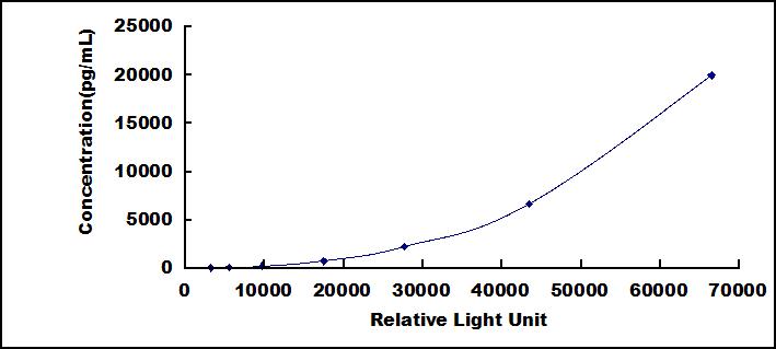 SCL307Hu.jpg