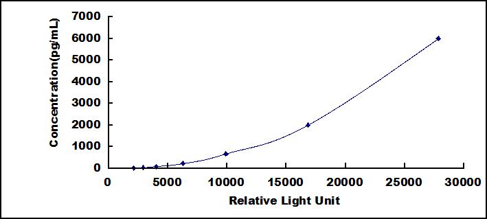 SCL604Hu.jpg