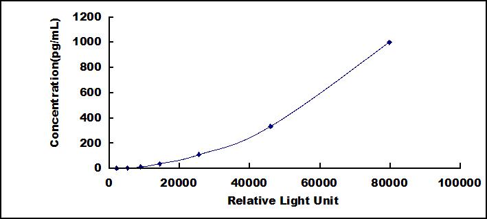 SCL621Mu.jpg