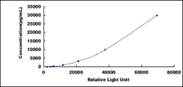 SCL818Hu.jpg