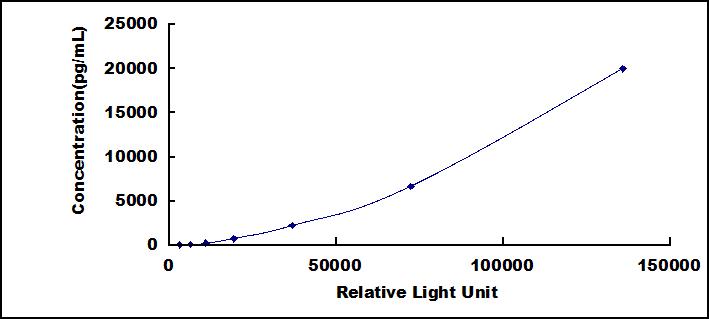 SCN845Hu.jpg