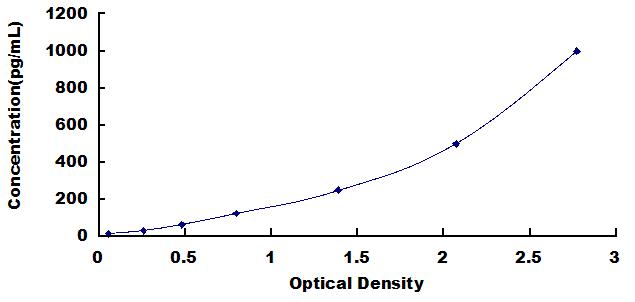 SEA049Eq.jpg