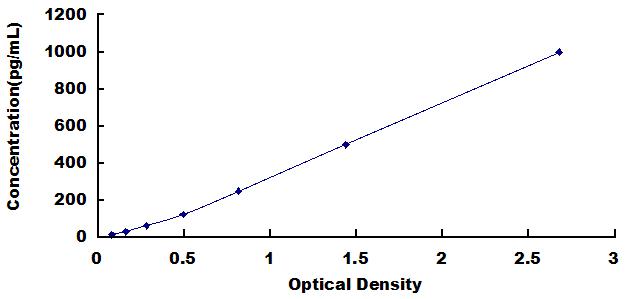 SEA063Eq.jpg