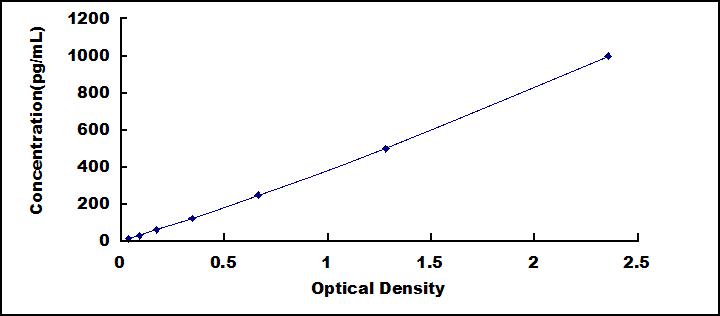 SEA088Eq.jpg