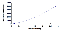 ELISA Kit for L1-Cell Adhesion Molecule (L1CAM)