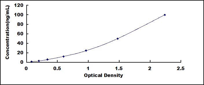 SEB180Po.jpg