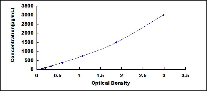 SEB197Eq.jpg