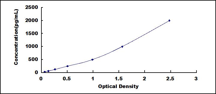 SEC006Mu.jpg