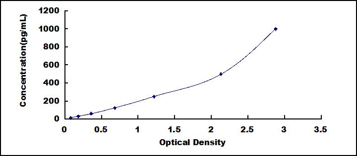 SEC075Mu.jpg