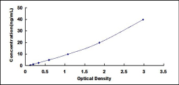 SEC295Ra.jpg