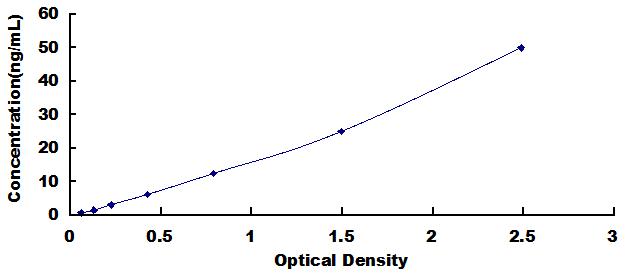 ELISA Kit for 2',5'-Oligoadenylate Synthetase 1 (OAS1)