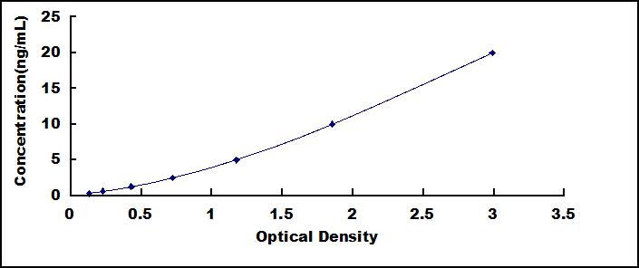 SED020Eq.jpg