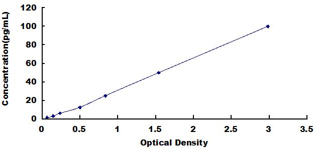 SED038Hu.jpg