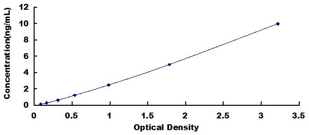 SED058Ra.jpg