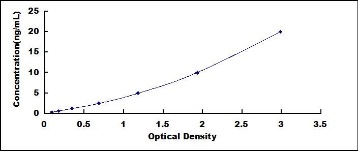 SED063Hu.jpg