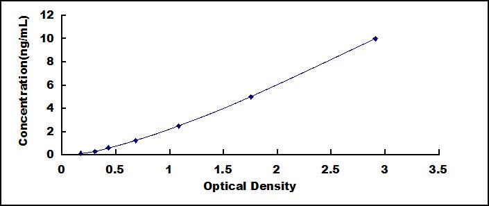 SED072Hu.jpg