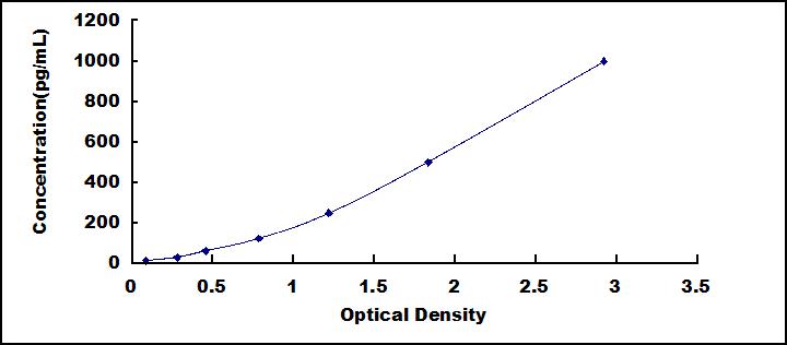 SED079Hu.jpg