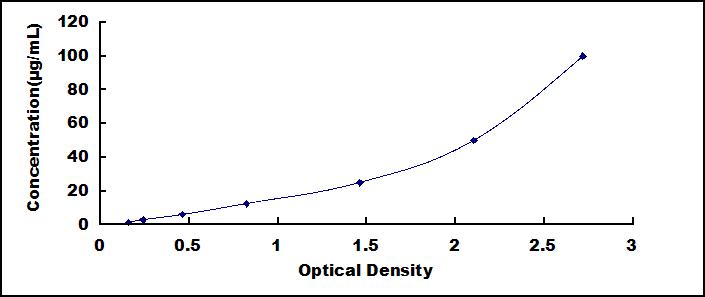 SED095Hu.jpg