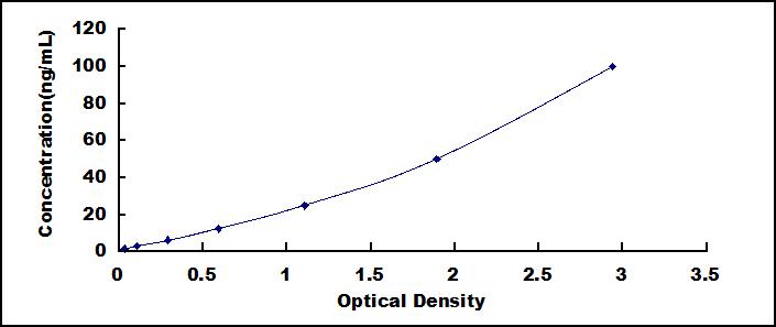 SED406Ra.jpg