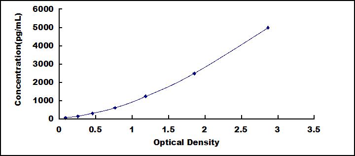 SEE029Hu.jpg