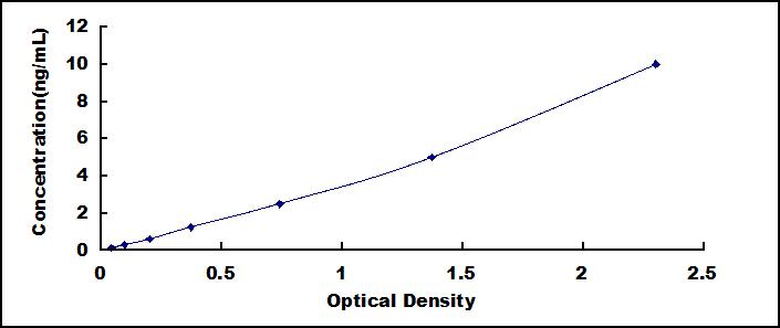 SEE045Ra.jpg