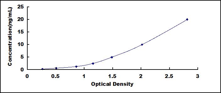 SEE099Hu.jpg