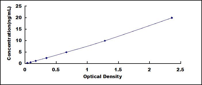 SEE110Hu.jpg