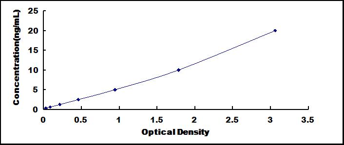 SEE124Hu.jpg