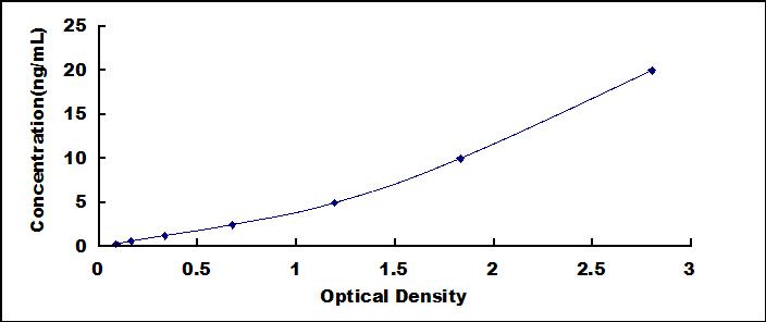 SEE125Hu.jpg