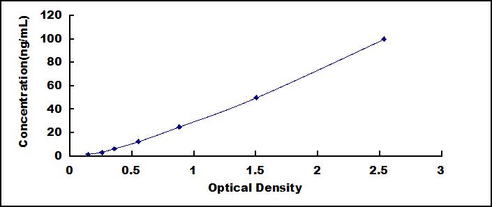 SEE130Hu.jpg