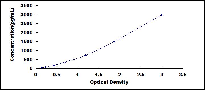 SEE134Hu.jpg