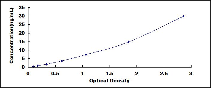 SEE135Hu.jpg