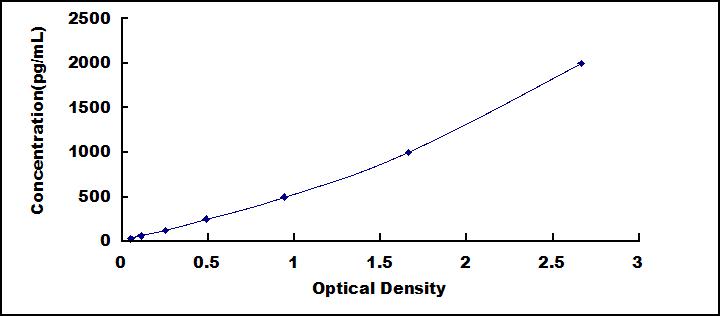 SEE136Hu.jpg