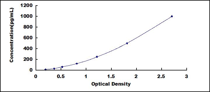 SEE137Hu.jpg