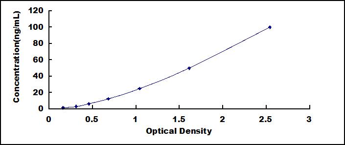 SEE175Hu.jpg