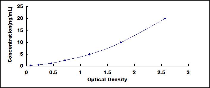 SEE184Hu.jpg