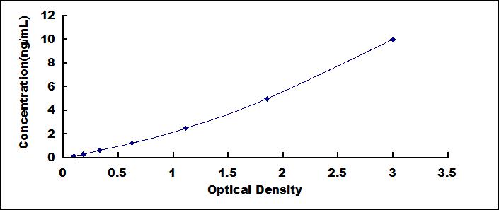 SEE186Ra.jpg