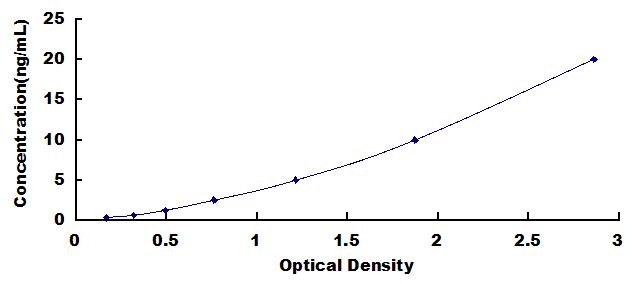 SEE190Hu.jpg