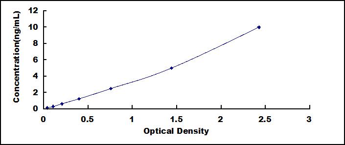 SEE225Hu.jpg