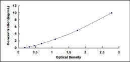 SEE257Hu.jpg