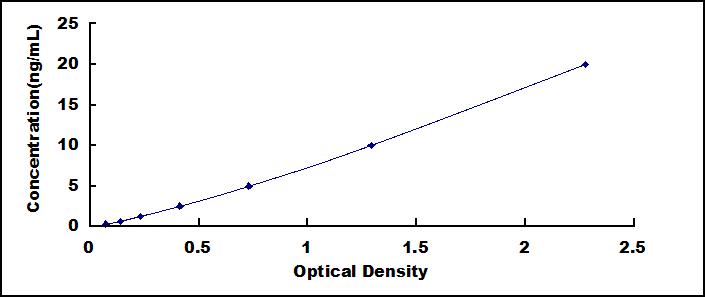 SEE258Hu.jpg