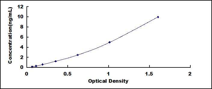 SEE259Hu.jpg