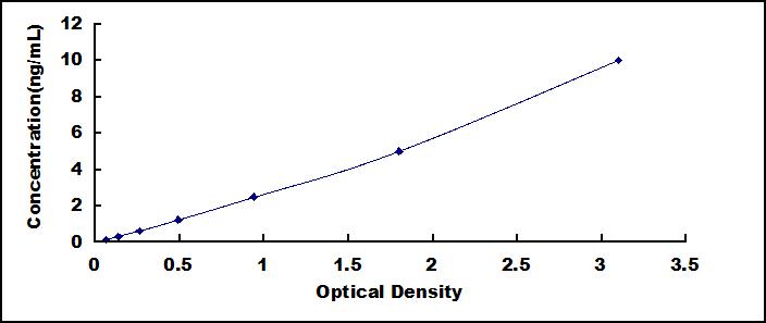 SEE260Hu.jpg