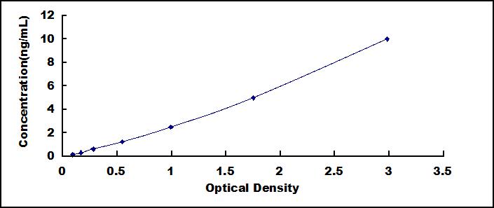 SEE293Mu.jpg