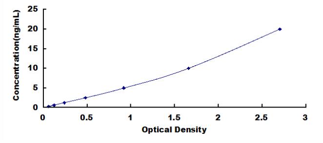 SEE376Ra.jpg