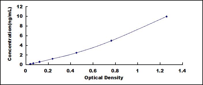 SEE381Mu.jpg