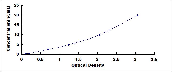 SEE390Hu.jpg