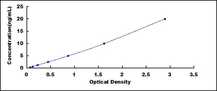 SEE429Hu.jpg